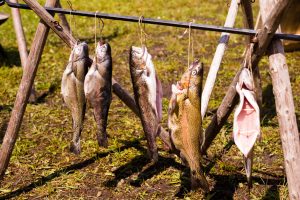 Lebendiges Mittelalter auf den Wiesen am Chiemsee im Seepark Bernau – Felden