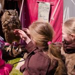 Lebendiges Mittelalter auf den Wiesen am Chiemsee im Seepark Bernau – Felden