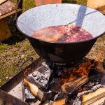 Lebendiges Mittelalter auf den Wiesen am Chiemsee im Seepark Bernau – Felden