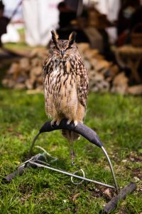 Lebendiges Mittelalter auf den Wiesen am Chiemsee im Seepark Bernau – Felden