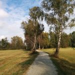 Goldener Oktober am Chiemsee