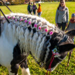 Traditioneller Leonhardiritt in Nußdorf
