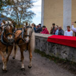 Traditioneller Leonhardiritt in Nußdorf