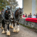 Traditioneller Leonhardiritt in Nußdorf