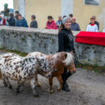 Traditioneller Leonhardiritt in Nußdorf
