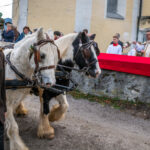 Traditioneller Leonhardiritt in Nußdorf