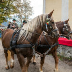 Traditioneller Leonhardiritt in Nußdorf