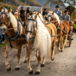 Traditioneller Leonhardiritt in Nußdorf