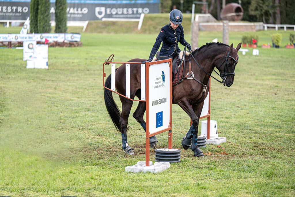18-jährige Leonie Saugspier vom Samerberg gewinnt Goldmedaille im Reitsport „Working Equitation“