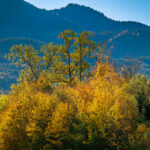 Impressionen eines Herbstspazierang in der Samerberger Filze