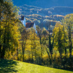 Impressionen eines Herbstspazierang in der Samerberger Filze