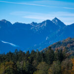 Impressionen eines Herbstspazierang in der Samerberger Filze