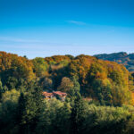Impressionen eines Herbstspazierang in der Samerberger Filze