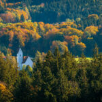 Impressionen eines Herbstspazierang in der Samerberger Filze