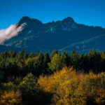 Impressionen eines Herbstspazierang in der Samerberger Filze