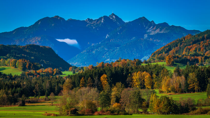 Impressionen eines Herbstspazierang in der Samerberger Filze