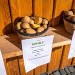 Herbstlicher Marktzauber in Neubeuern: Ein Bummel durch bayerische Vielfalt von Handwerk, Mode und Kulinarik