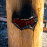 Samerberger Dorfadvent verzaubert mit festlichem Glanz und besinnlichen Momenten