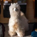 Samerberger Dorfadvent verzaubert mit festlichem Glanz und besinnlichen Momenten