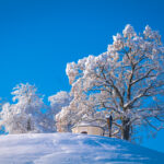 Ein Wintermärchen auf dem Samerberg: Magische Momente in verschneiter Idylle