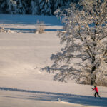 Ein Wintermärchen auf dem Samerberg: Magische Momente in verschneiter Idylle